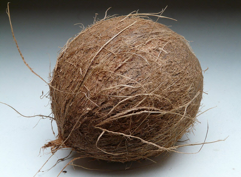 coconut fibre